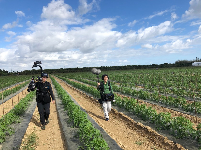naiti gamez and shuling yong tomato fields immokalee fl
